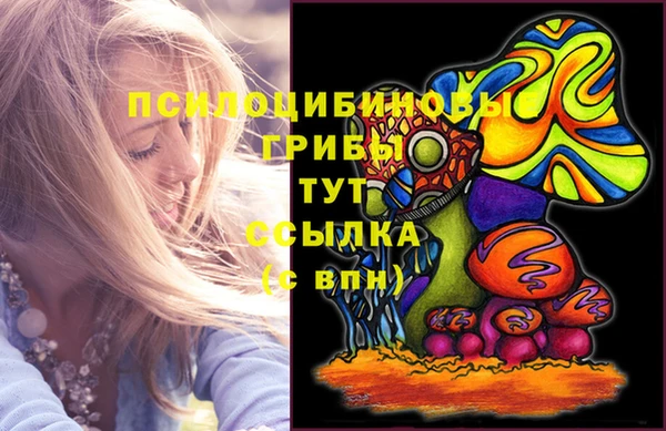 дживик Михайлов