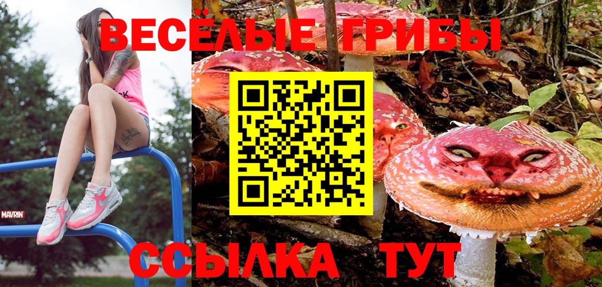 Псилоцибиновые грибы мухоморы Шадринск