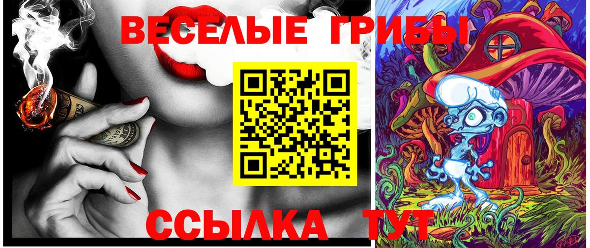 Галлюциногенные грибы ЛСД  Псилоцибиновые грибы ЛСД  Шадринск  Вход с VPN 